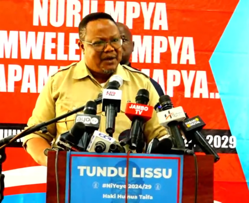 TUNDULISSU