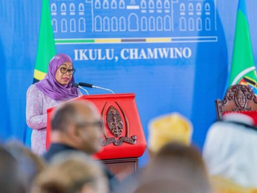 Tanzania na Mageuzi mapya ya Kiuchumi na Kidiplomasia: kutoka Hotuba ya Kihistoria ya Diplomasia 2026